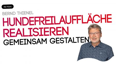 Hundefreilauffläche realisieren. Geeignete Fläche bereitstellen