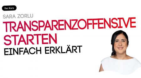 Transparenzoffensive starten. Verwaltung modernisieren